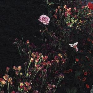 中出人妻一条绮美香在播
